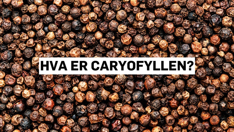 Hva er caryofyllen?