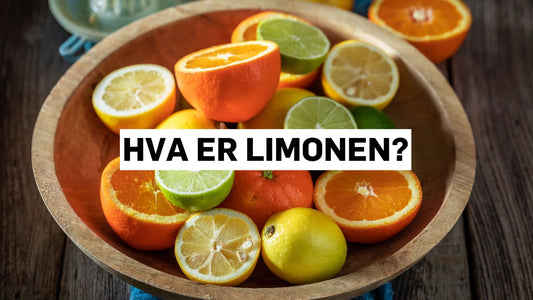 Sitrusfrukter som inneholder limonen.