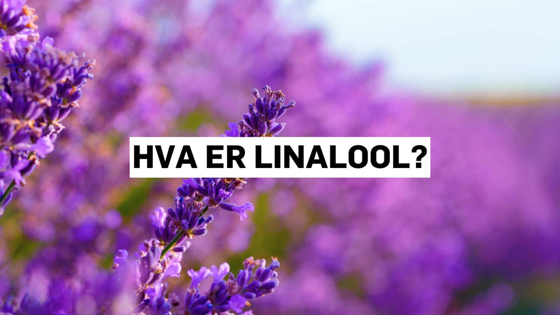Hva er linalool?