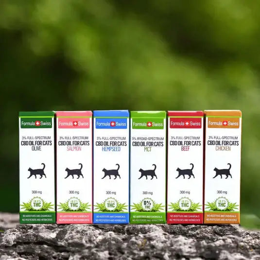 CBD olje for katter