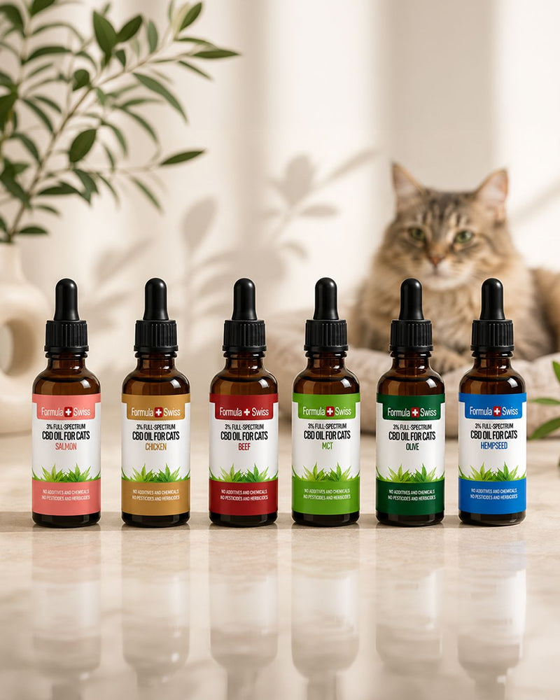 CBD olje for katter