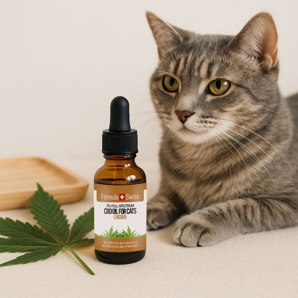 CBD olje for katter kylling
