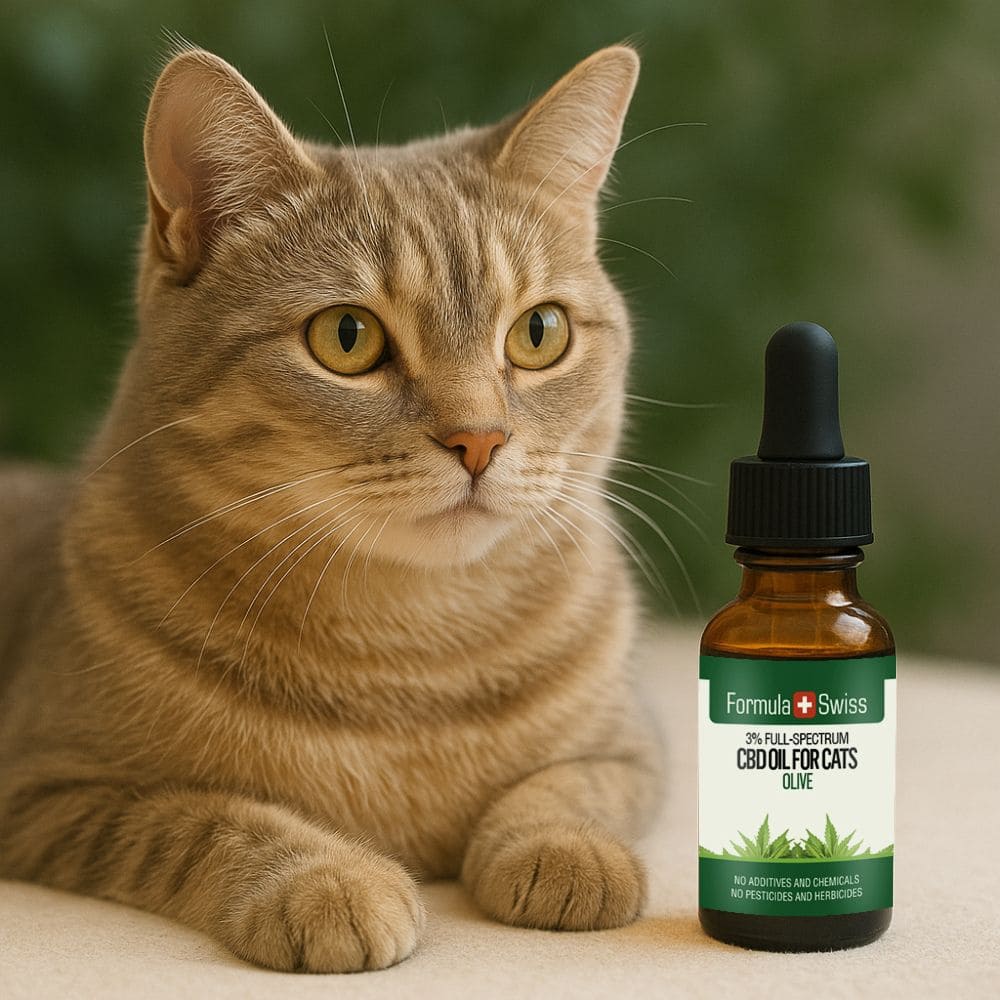 CBD olje for katter oliven