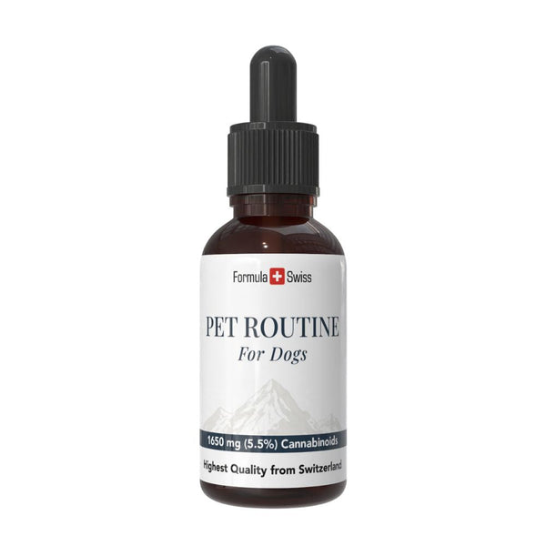 Bottle of 'Pet Routine for Dogs' with a white label on a white background
