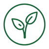 Hamp dyrket med omtanke