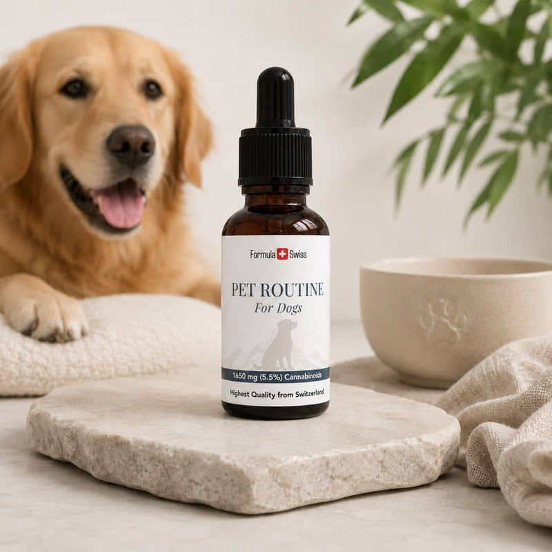 Formula Swiss Pet Routine CBD olje for hunder i en ravfarget flaske med pipette, presentert ved siden av en golden retriever og en matskål.